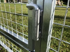 Koeraaediku värava hing